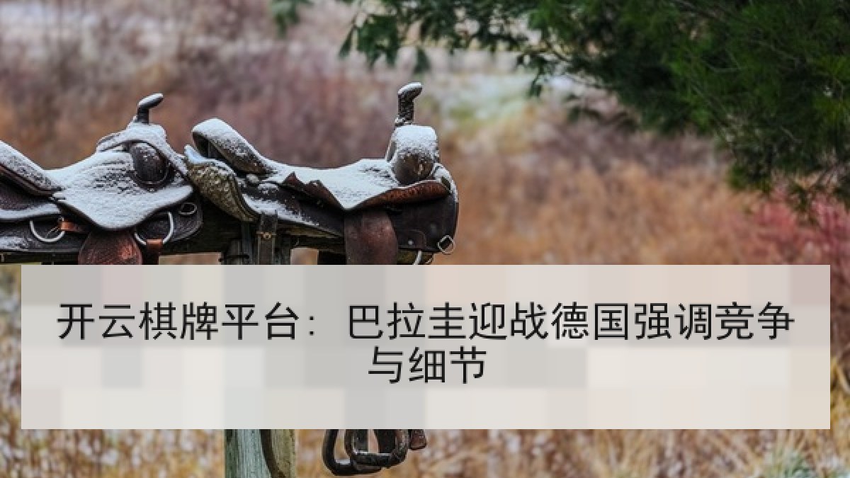 开云棋牌平台: 巴拉圭迎战德国强调竞争与细节